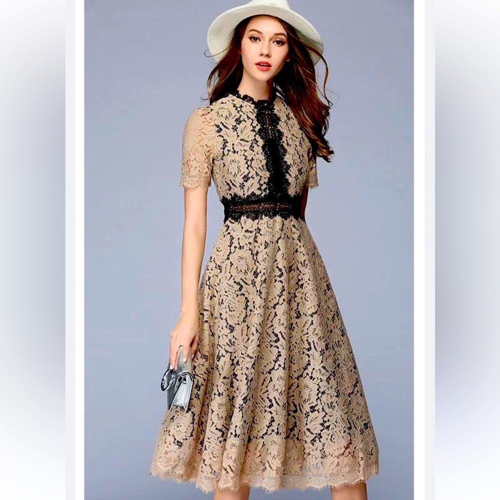 Beige Lace full skirt Midi Dress short sleeve fully lined back zipper Sz Small